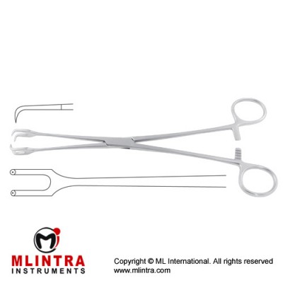 Schroeder Tenaculum Forcep Straight - 2 x 2 Teeth Stainless Steel, 25 cm - 9 3/4" Schroeder Tenaculum Forcep Straight - 2 x 2 Teeth Stainless Steel, 25 cm - 9 3/4"